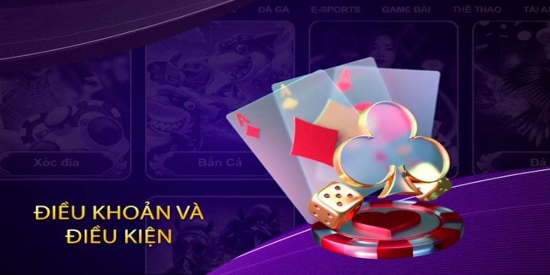 Điều Khoản Và Điều Kiện Tại Nohu Dành Cho Người Chơi 1 Điều khoản và điều kiện tại Nohu